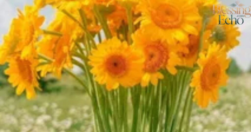 Good Morning Friday Blessings